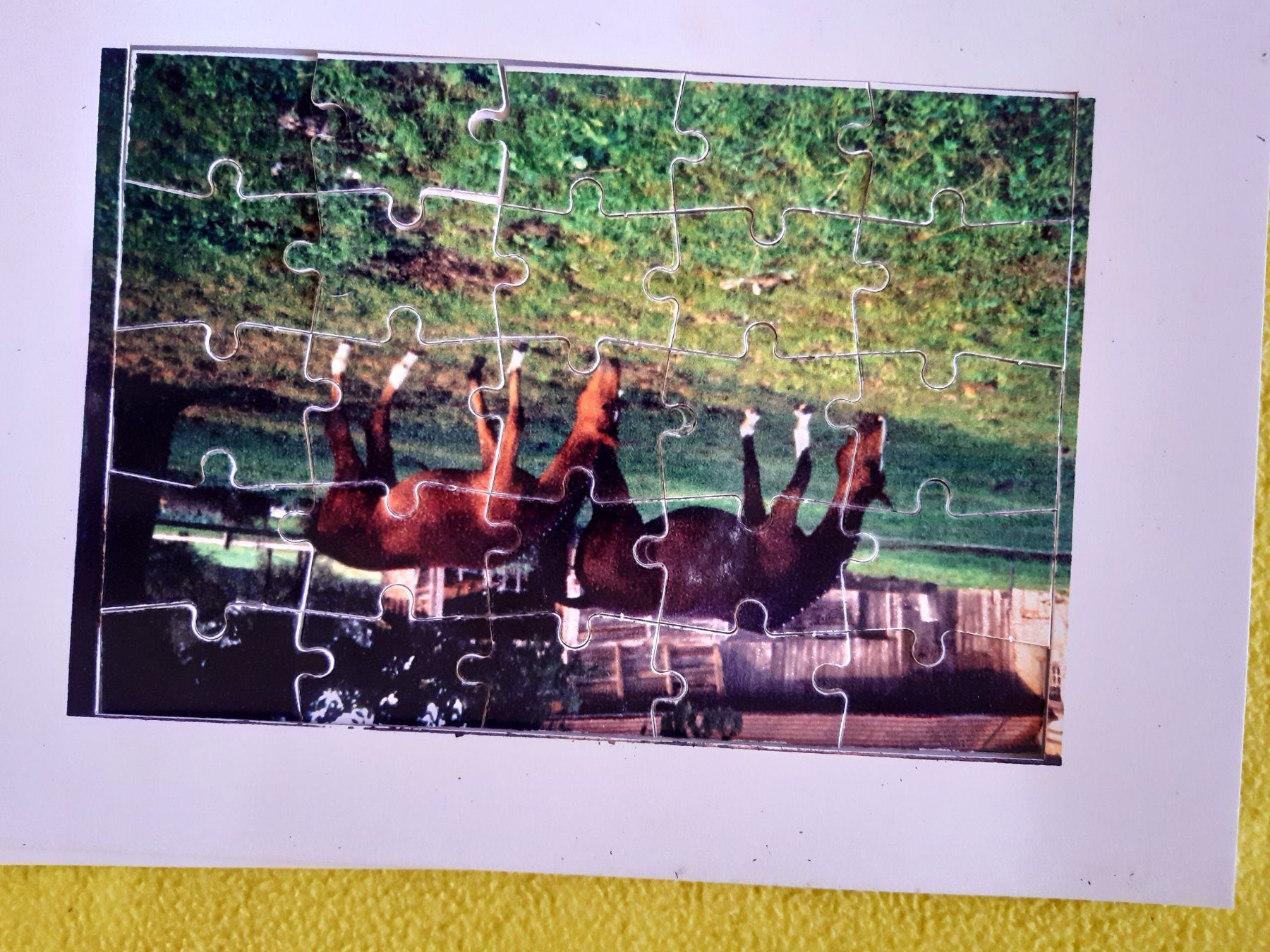Puzzle: Puzzle pferd und fohlen – Nuovo (secondo la descrizione) da Nebikon venduto da Haidihooo