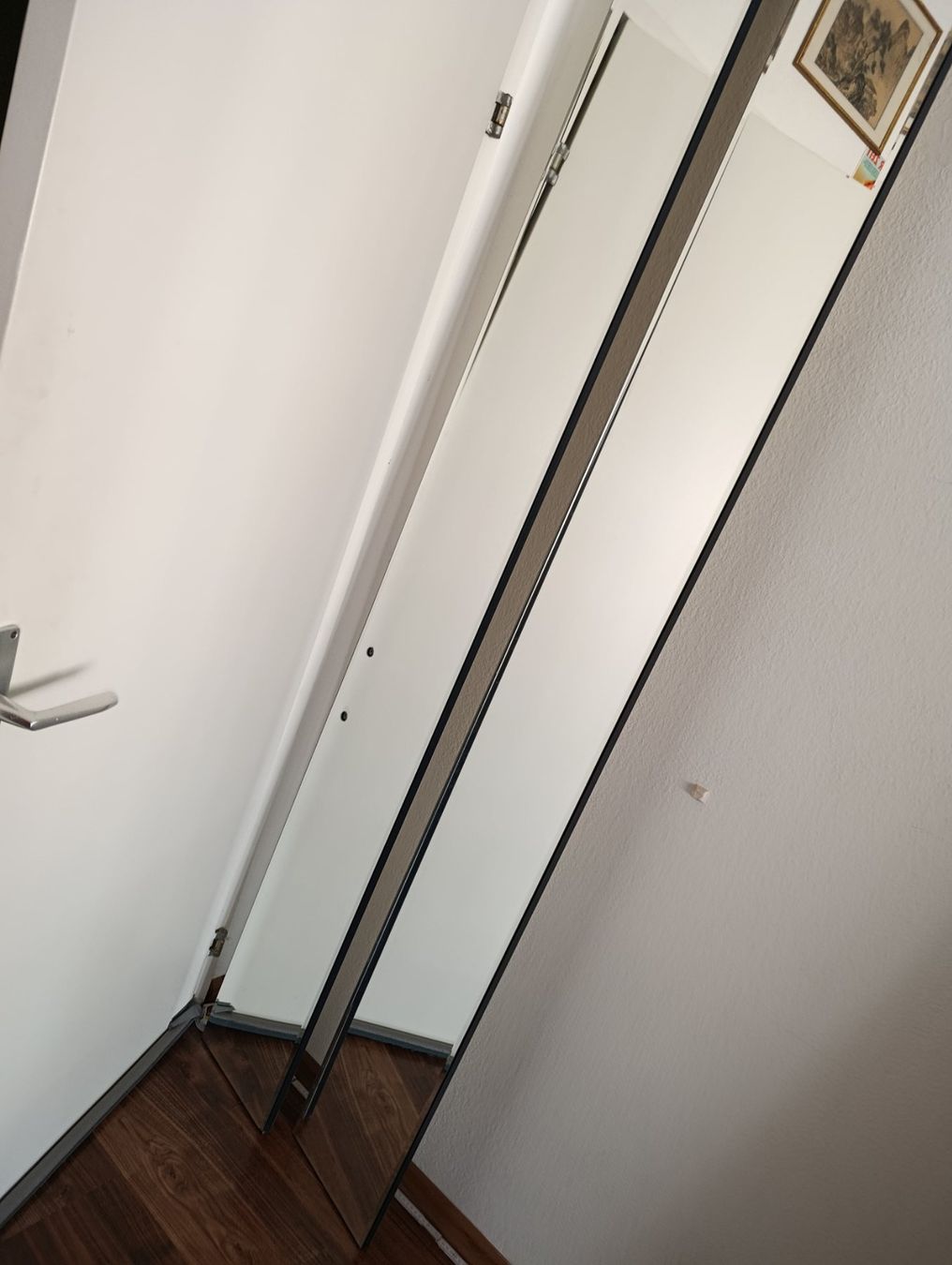 Specchi: Spigel – Usato da Basel venduto da adler024 1