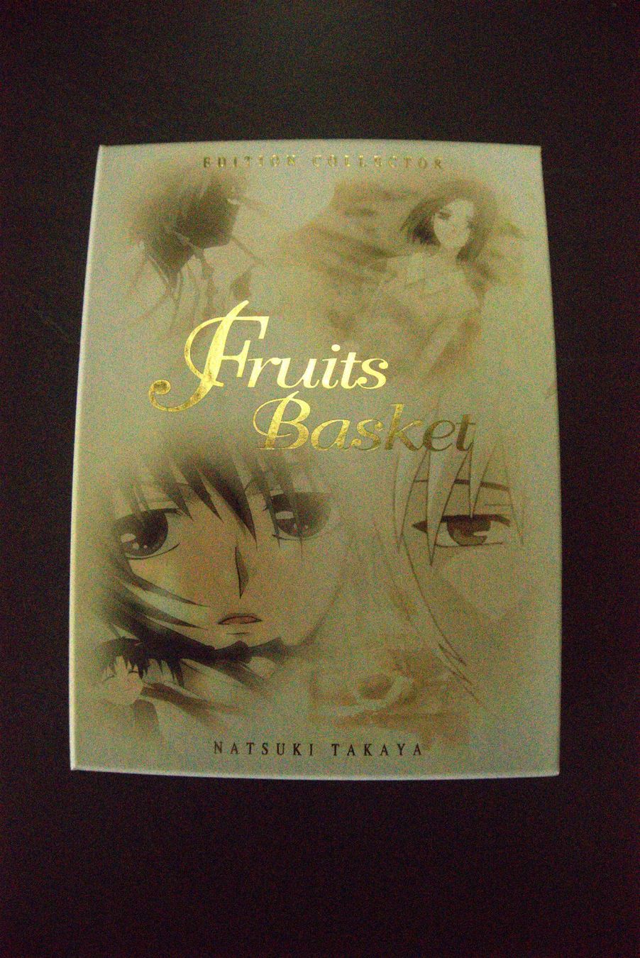 Tutti i DVDs: DVD collector Fruit Basket – Nuovo (secondo la descrizione) da Onex venduto da Louve.crz