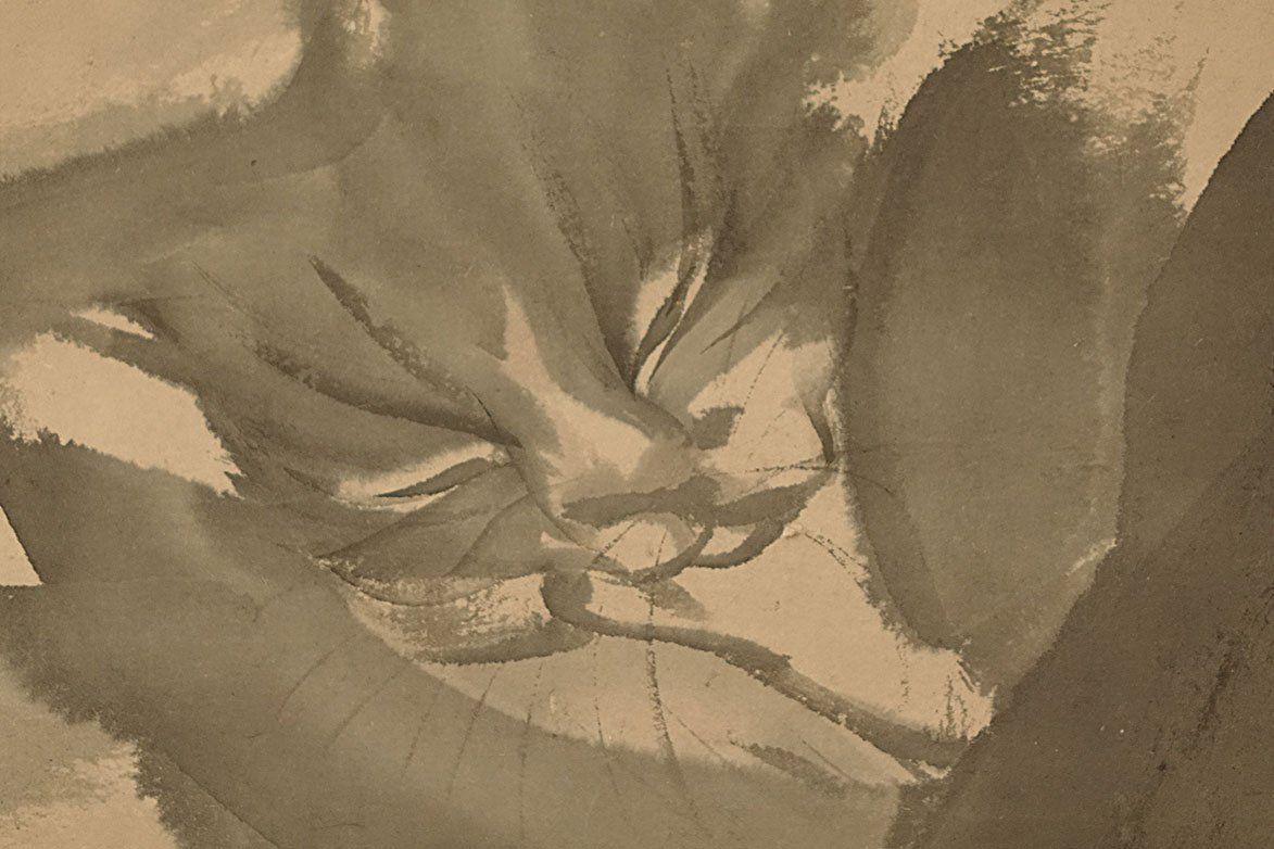 Foto & Immagini: Japan Rollbild Schlafende Katze – Usato da Winterthur venduto da Hiruko 4