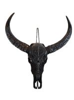 authentique crâne de buffle sculpté