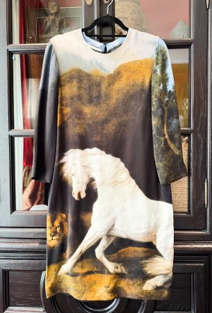Stella McCartney Kleid – Gr. 36 / S – limitiertes Modell