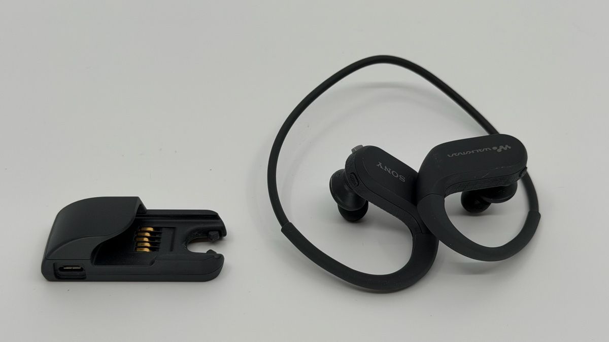 Sony Lecteur media portable: Sony Walkman WS410 MP3 Player wasserdicht – D'occasion à Lüchingen par phlanlab 1