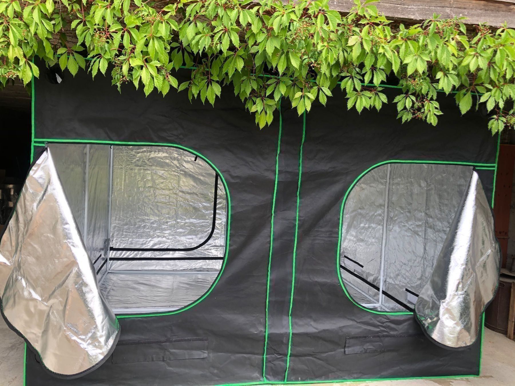 Zelte & Pavillons: 3x3 M Gewächshaus Zelt Grow – Neu und originalverpackt aus Hüntwangen von 8006 1