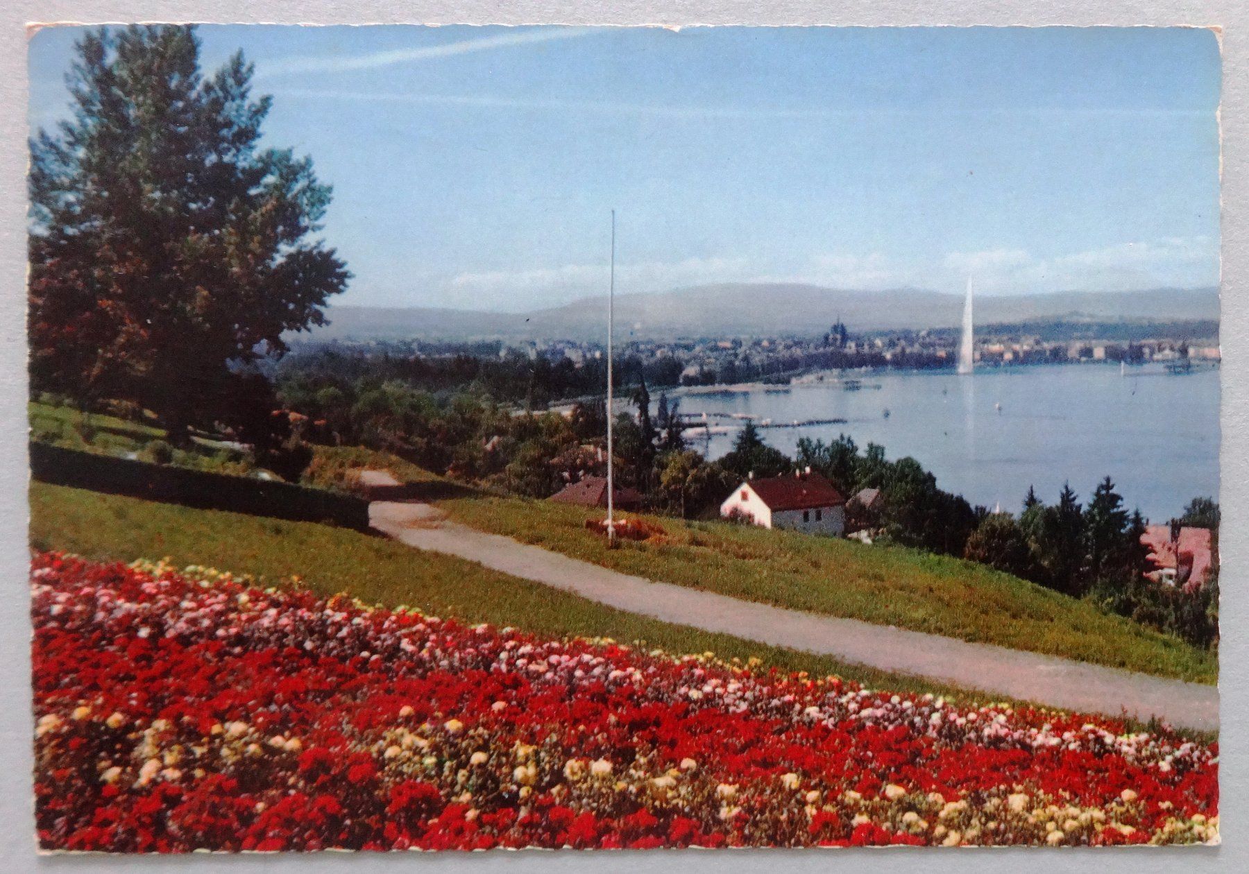 Cartoline postali: Genève - Vue de Cologny – Difettoso da Fétigny venduto da Billy2miny