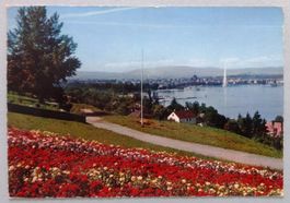 Genève - Vue de Cologny