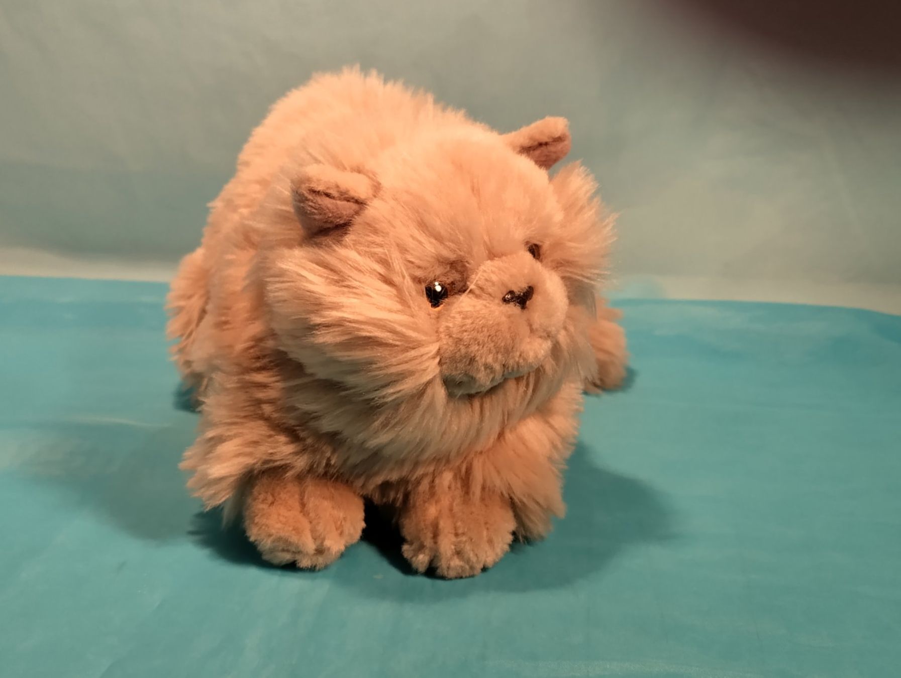 Teddy Hermann Giocattoli: Perser Katze, Plüsch, grau, Teddy Hermann Collection, L:25cm – Nuovo (secondo la descrizione) da Bellach venduto da JingleCherry 1