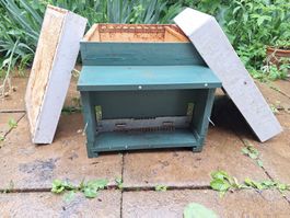 10er Dadant Blatt Bienenstock