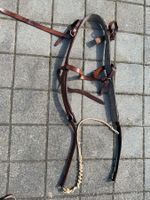Hunde Leder-Zuggeschirr für grosse Hunde