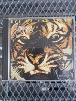 Survivor - Eye of the Tiger