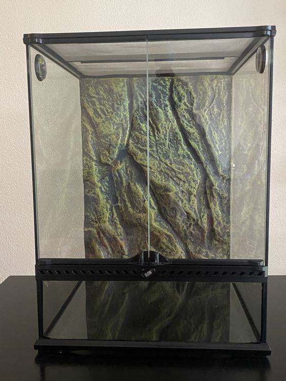 Exo Terra Terrarium Kaufen auf Ricardo