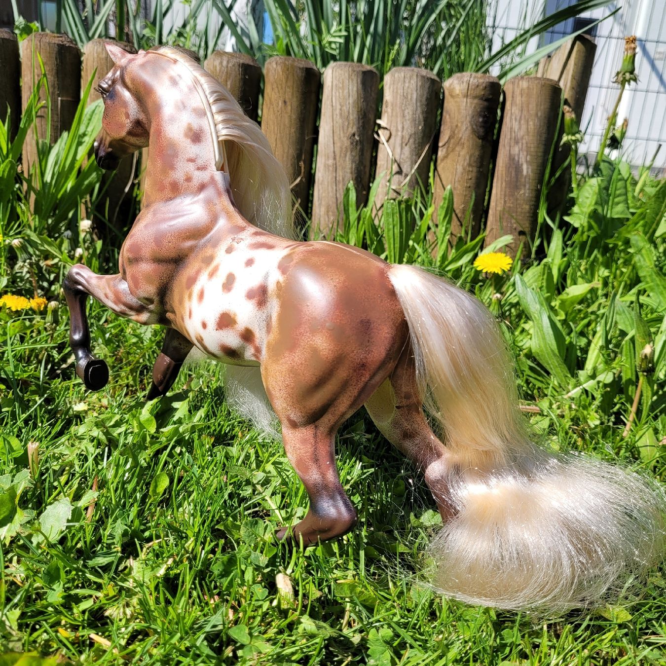 Giocattoli: Barbie Pferd Savanna Repaint/Unikat – Usato da Niederbuchsiten venduto da klengyel 4