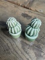Salz- und Pfeffer-Streuer Kaktus