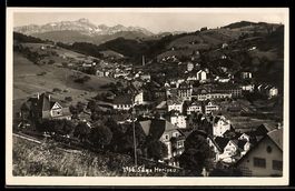 AK Herisau, Ortsansicht mit Säge und Bergpanorama im Hinterg