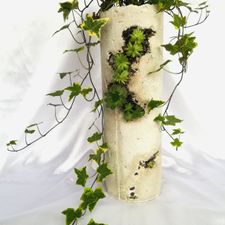 Profile image of flakkari8