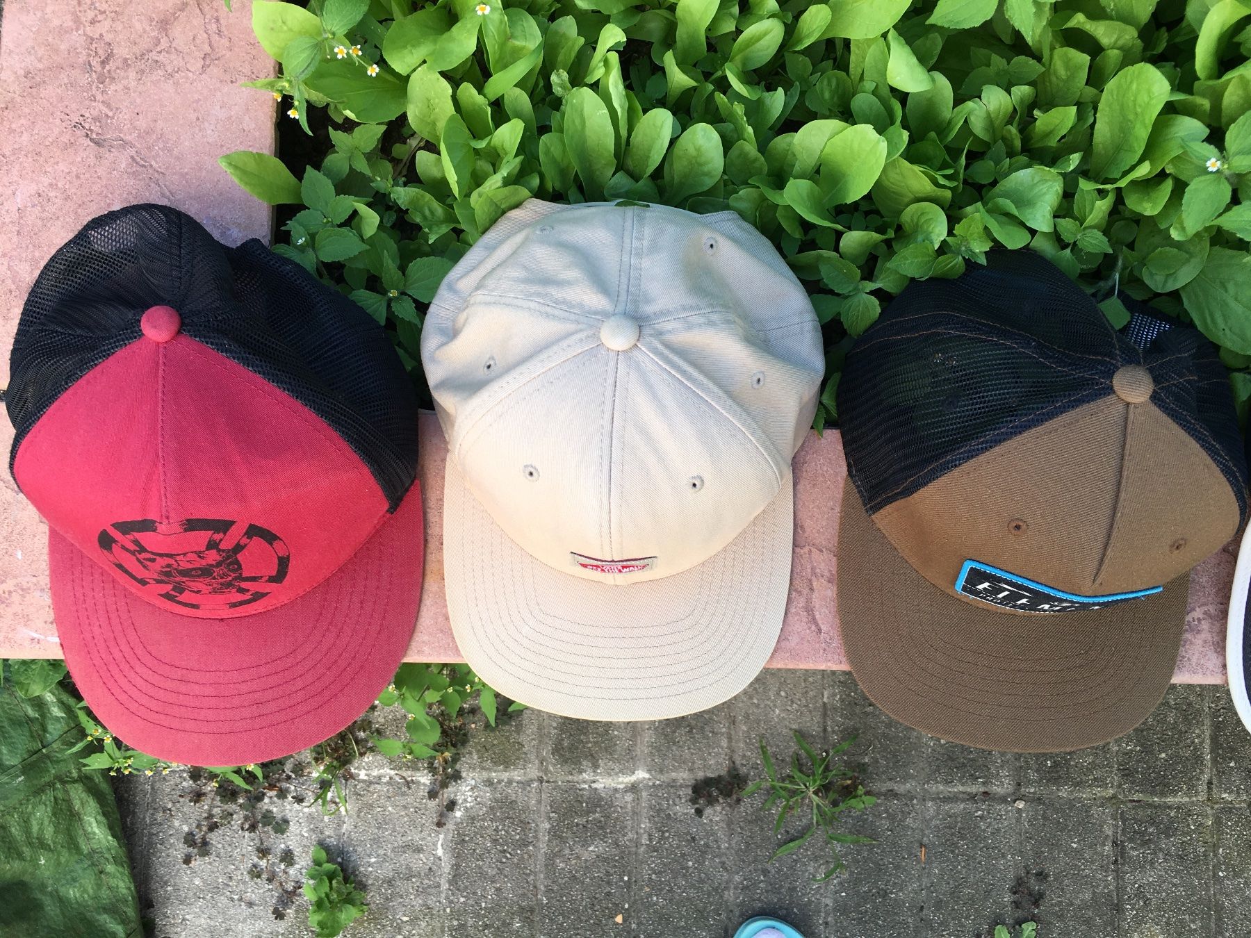 Vans Hüte, Mützen & Caps: Cappellini/Snapback Vans, Quiksilver, Neckface, DC, Trasher – Gebraucht aus Bellinzona von nikita.webp 2