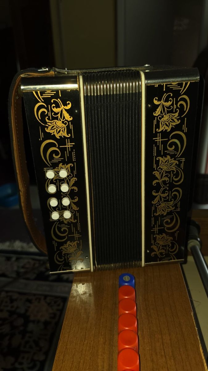 Strumenti musicali: Accordéon  – Usato da Yvonand venduto da Jojo777 4