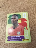 Panini Wm 2026 Sen 2