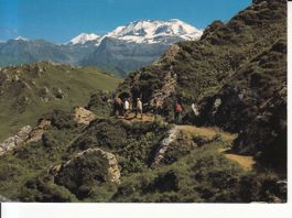 Lenk 1997