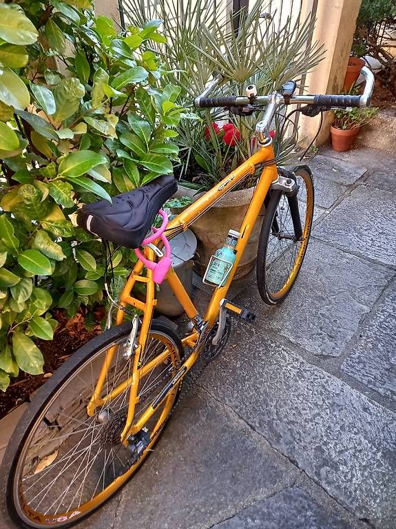 Biciclette: Bicicletta coppi – Usato da Bellinzona venduto da robertodiapason