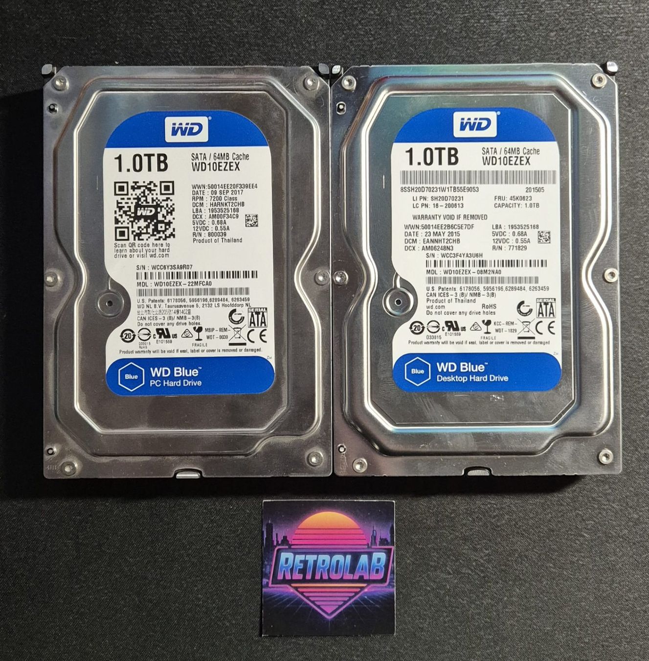 Western Digital Dischi rigidi: 2x HDD Western Digital 1TB - 3.5" - SATA – Usato da Neyruz FR venduto da RetroLab_