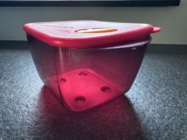 Tupperware Mikrowellengeschirr, 1.5 Liter