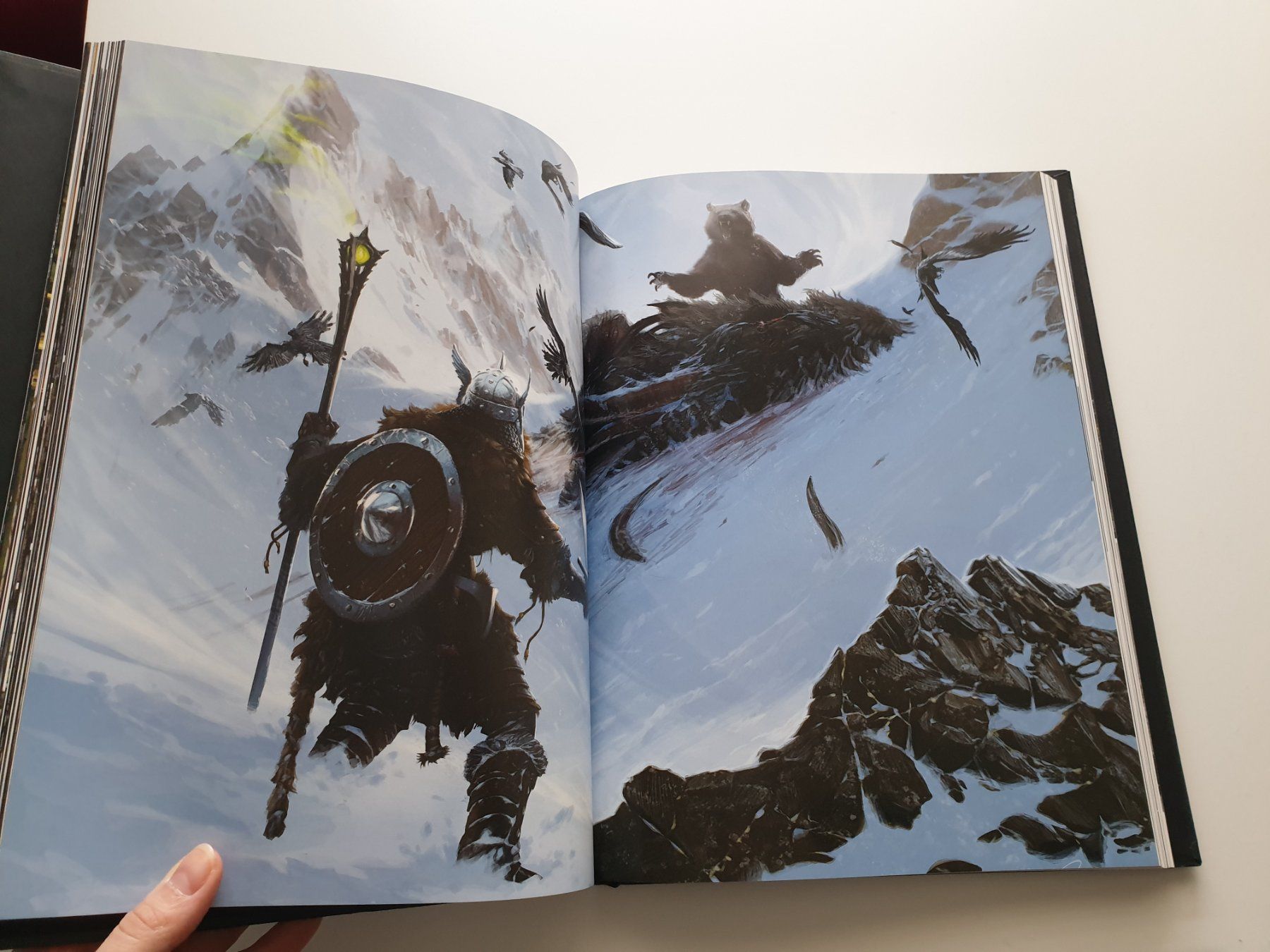 Libri: Skyrim Collectors Edition Artbook – Usato da Zürich venduto da pau_y8mv 6