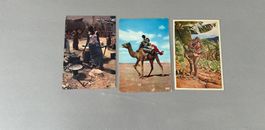Postkarten Afrika, 3er Set, Top Zustand / 6090