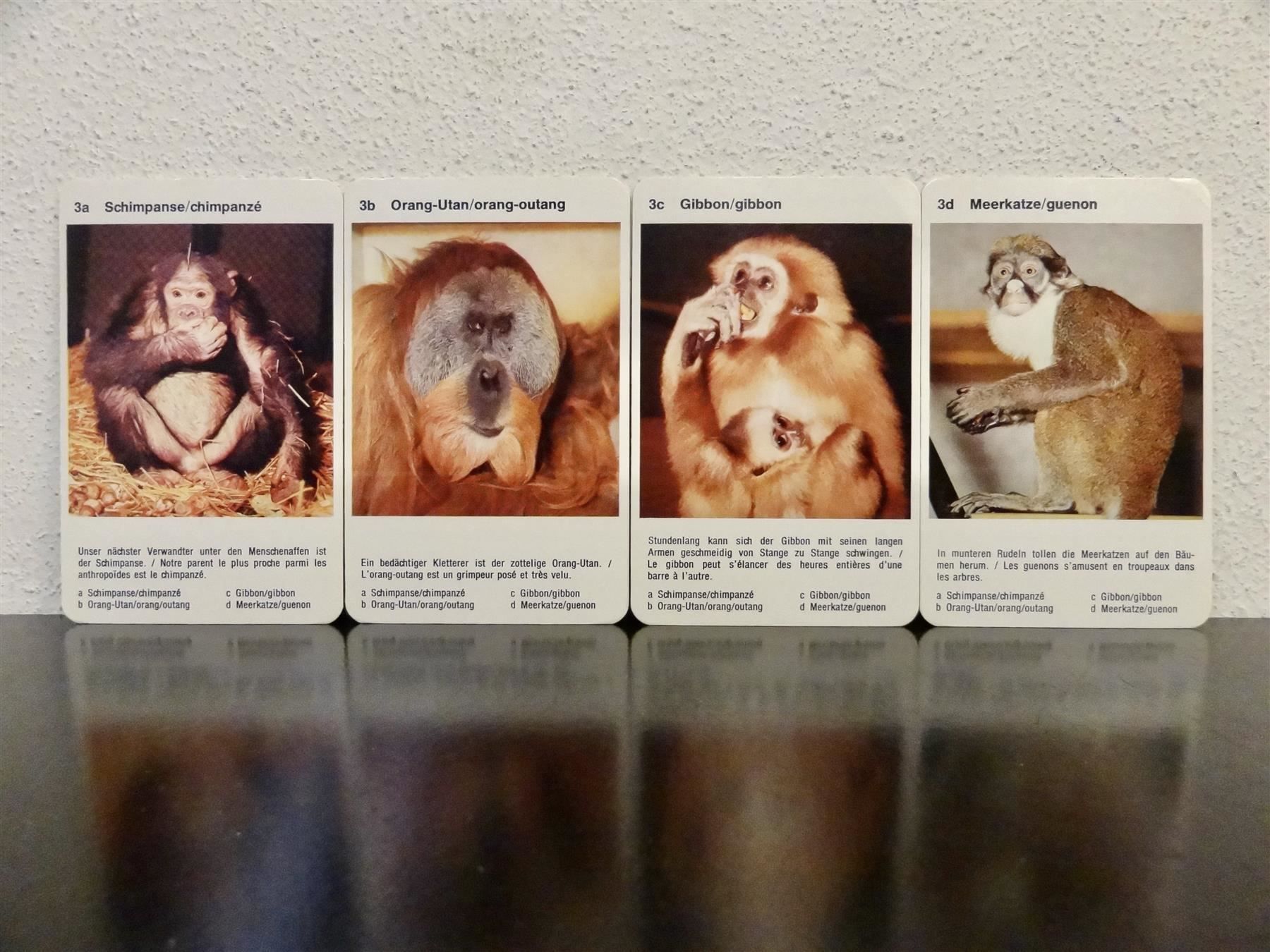 Giochi: Quartett TIER-QUARTETT TIERE IM ZOO – Usato da Kerzers venduto da wisaundso 5
