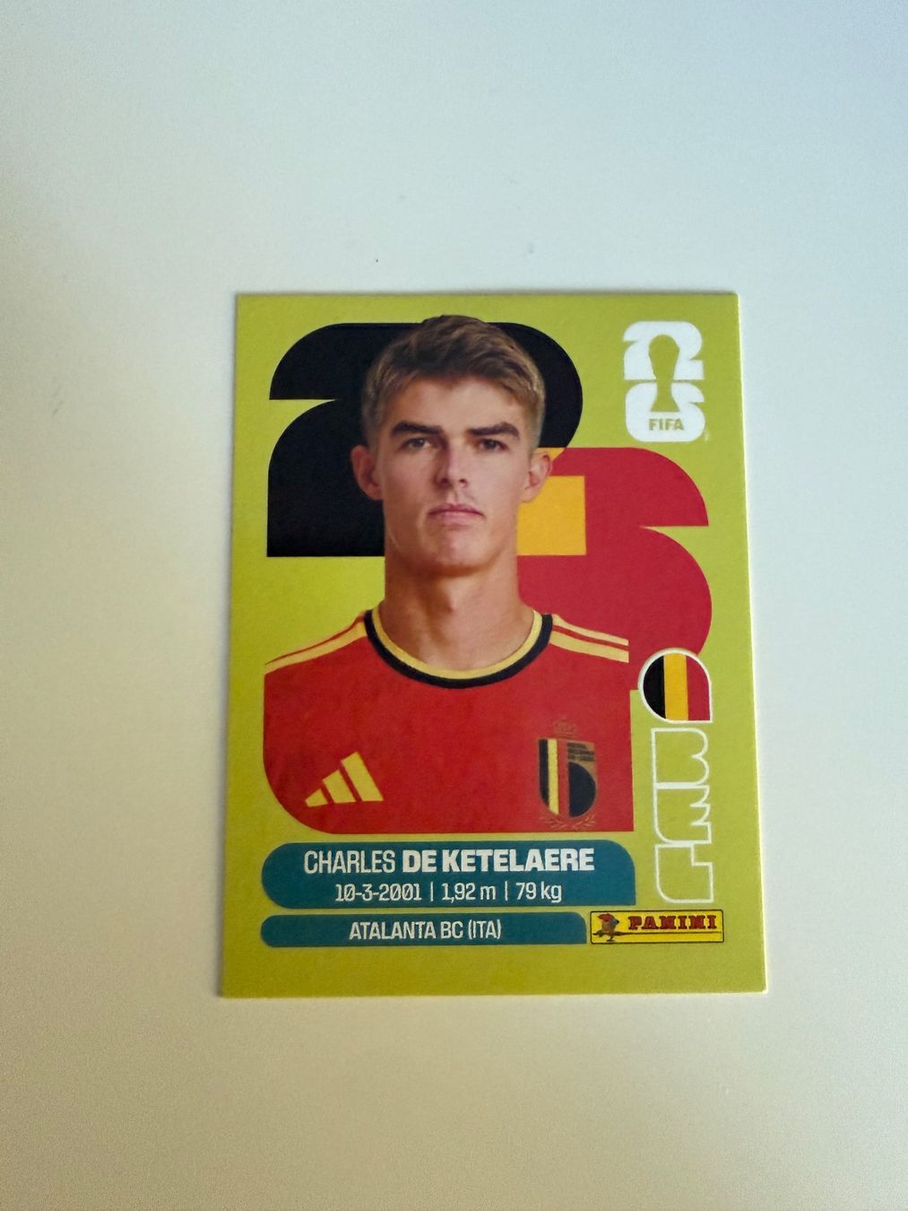 Panini Carte collezionabili: Carte panini 2026 - BEL 17 – Nuovo (secondo la descrizione) da La Neuveville venduto da Ibo2300