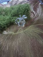 Swarovski Kristallfigur Eichhörnchen, guter Zustand wie neu 