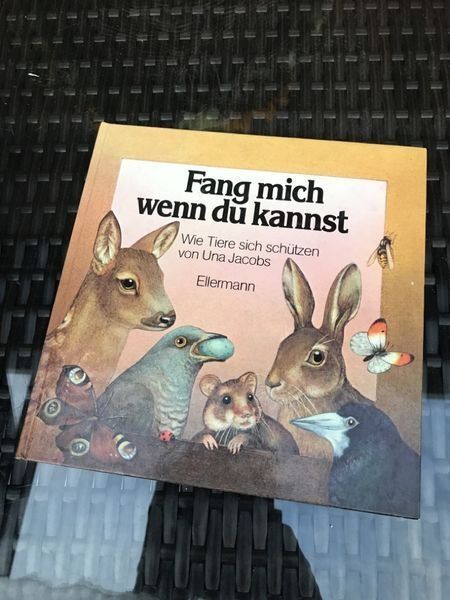 Bücher: Fang mich wenn du kannst - Ellermann – Gebraucht aus Bergdietikon von book-4-you