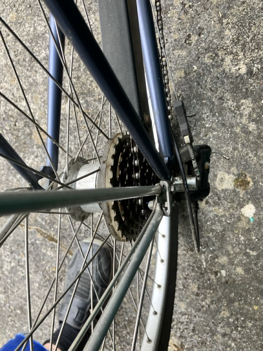 Biciclette: Tigra Damen Velo – Usato da Lupfig venduto da daschadani 5