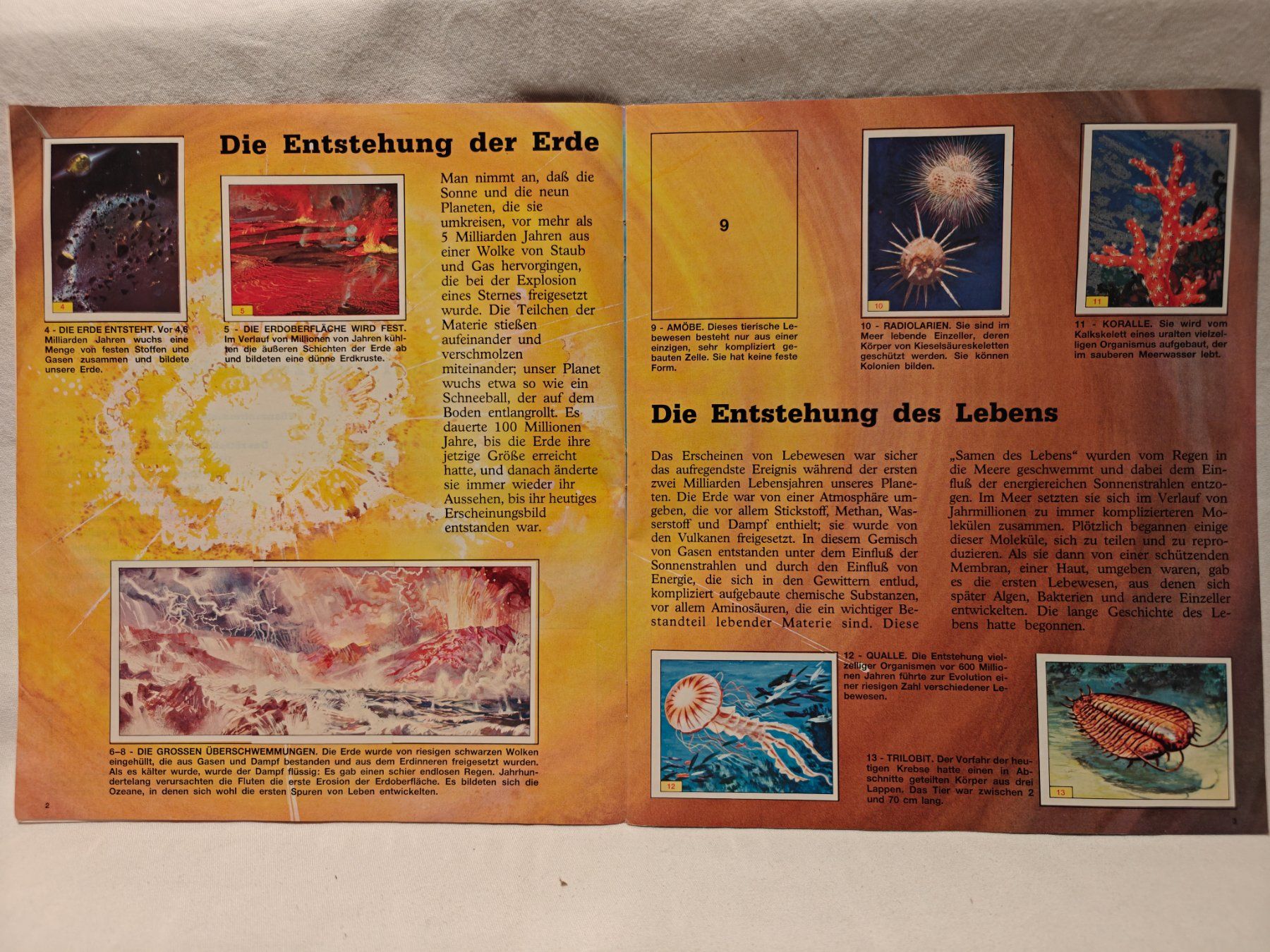 Panini Album: Tiere der Urzeit 1992 – Usato da Gutenswil venduto da Vulcano21 2