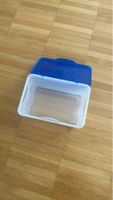 Aufbewahrungsbox transparent mit blauem Deckel
