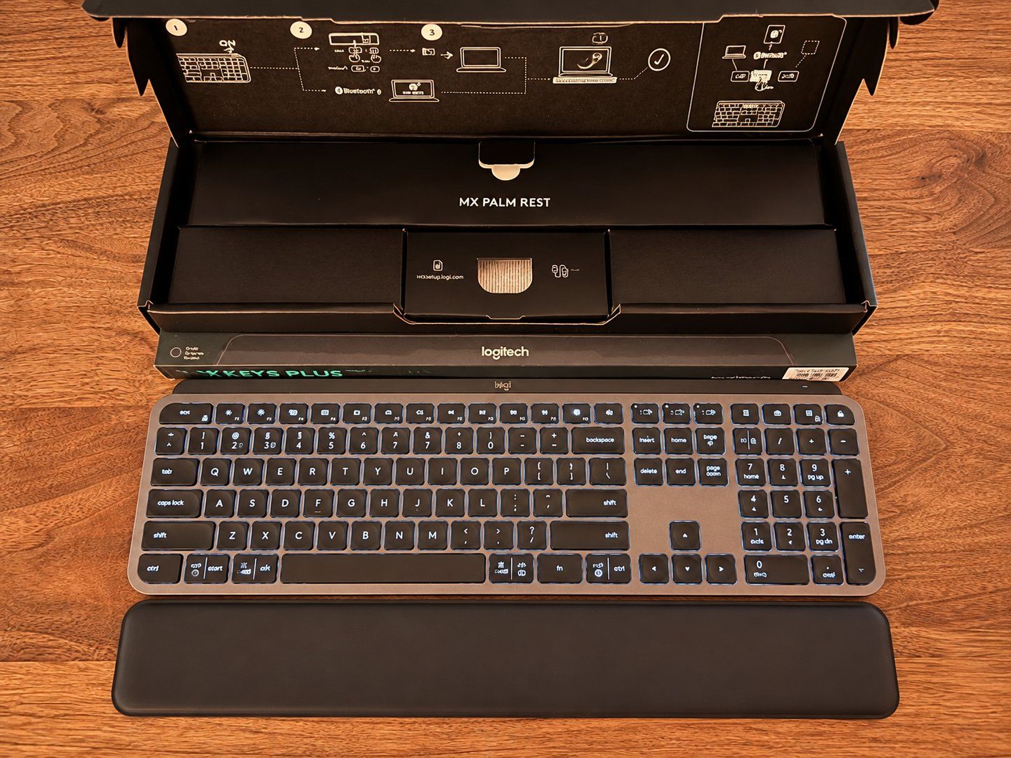 Logitech Tastiere: Logitech MX Keys Plus DE-Layout + Handballenauflage – Usato da Buchs AG venduto da Jam2019