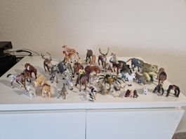 Ab 1 CHF Schleich Tierfiguren Konvolut & mehr - Sammlung