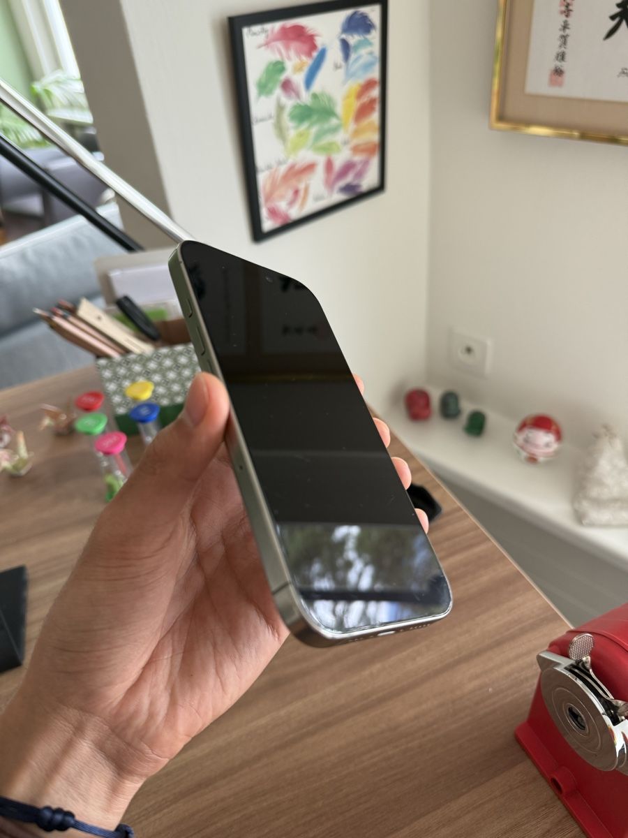Apple Telefoni cellulari / Smartphones: iPhone 16 Pro 256GB – Usato da Küsnacht ZH venduto da SusannIsrael 5