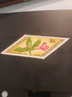 Mongolie Timbres 30M, Flore rare, Collection printemps!