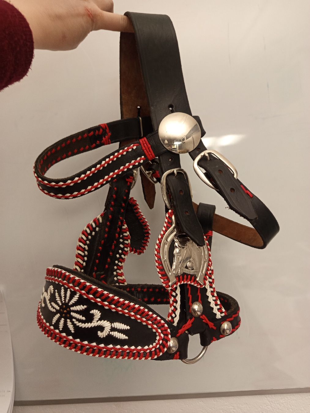 Briglie & Cavezze: Schow- Zier- Halfter, dickes Leder – Usato da Neyruz FR venduto da pri_gz79