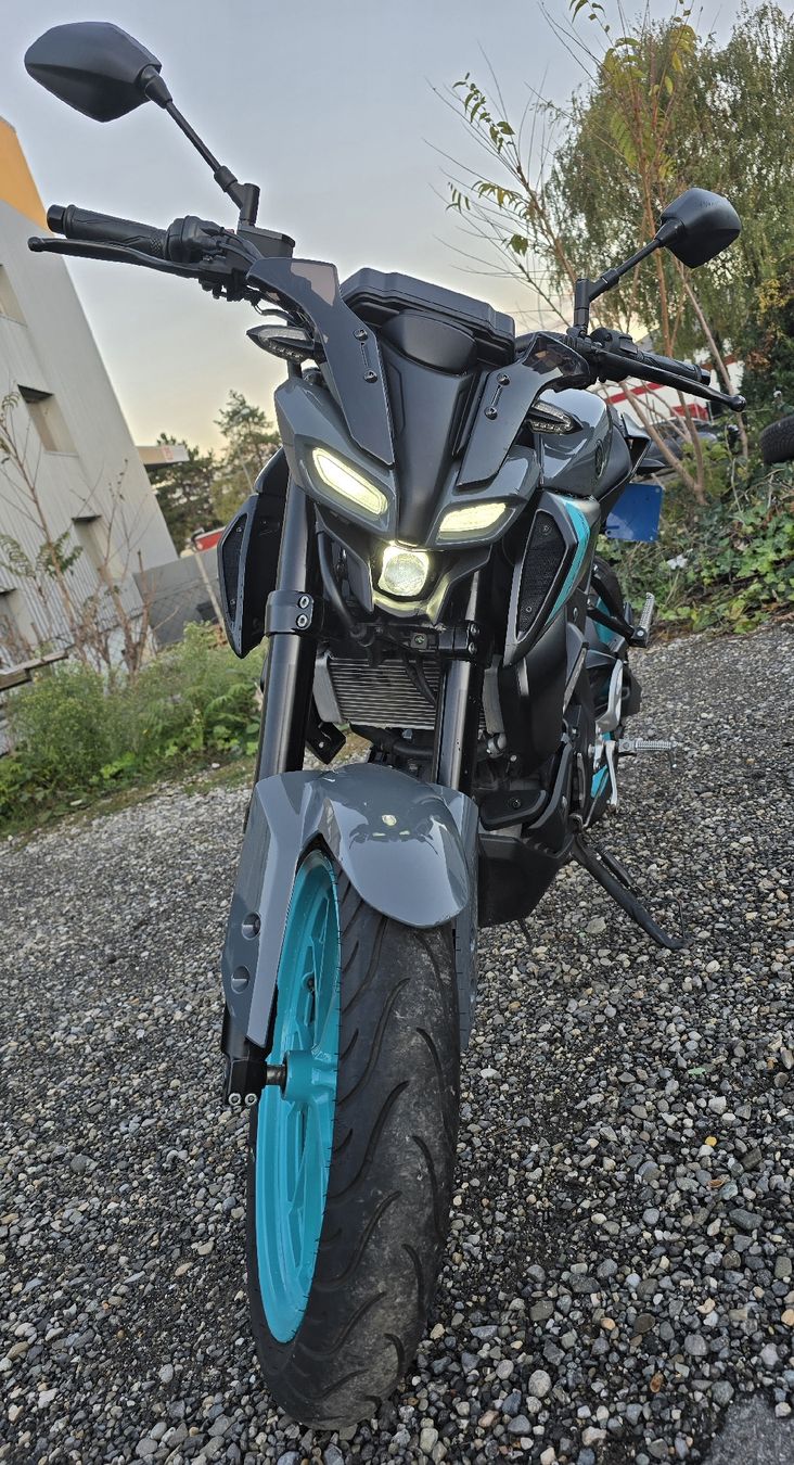 Yamaha Strada: yamaha mt-125 – Usato da Petit-Lancy venduto da fat_7mct 1