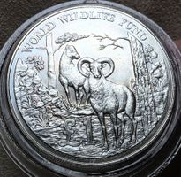 ZYPERN 1 POUND 1986 UNZ. *SEHR RAR*
