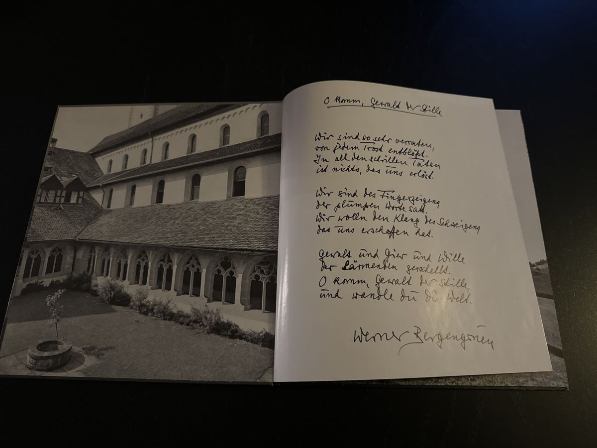 Libri: O komm, Gewalt der Stille – Usato da Erstfeld venduto da Mario_boe0 1