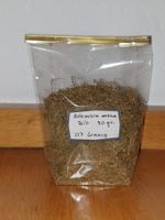Artemisia annua séchée bio pour tisane (30 gr)