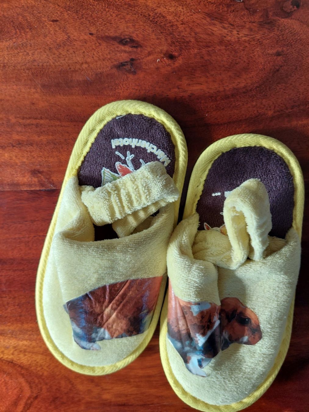Scarpe per ragazzi: Finken Meerschweinchen Grösse 19 / 20 – Usato da Beckenried venduto da Havacola 1