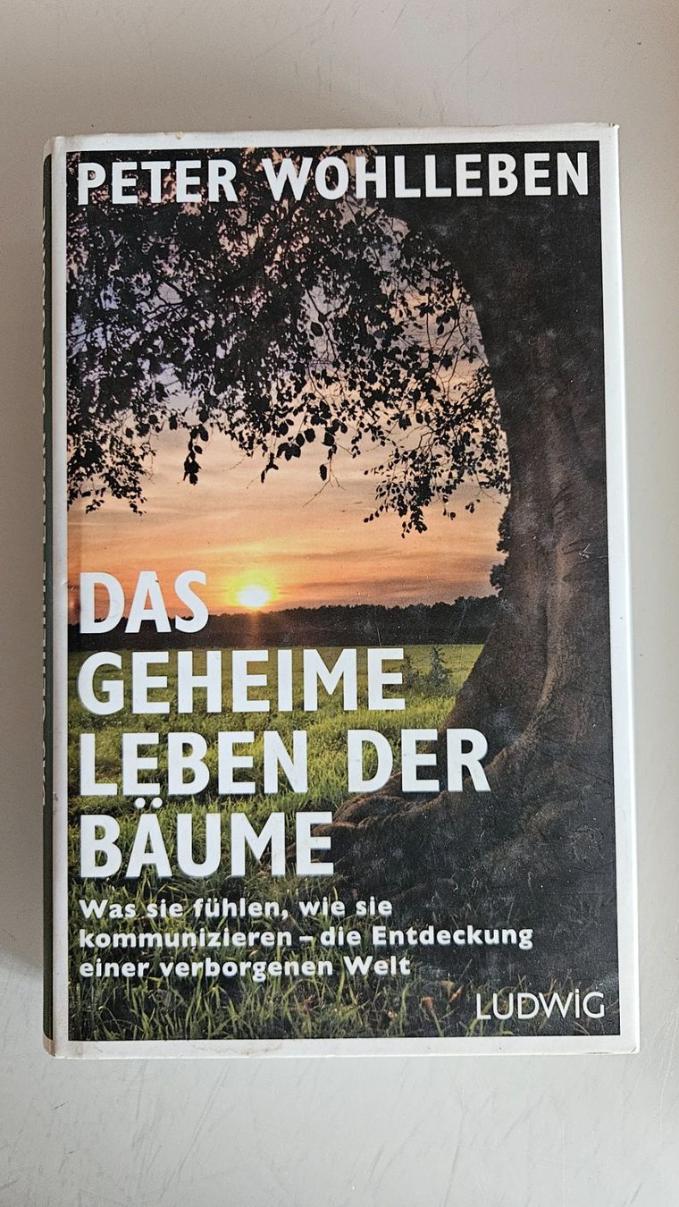Libri: Bücher Bäume Sträucher – Usato da Basel venduto da True_Hofer_Store 4