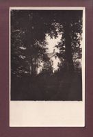 Photo - TREYTORRENTS - 1929