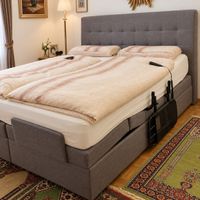 Lit double boxspring électrique de belle qualité