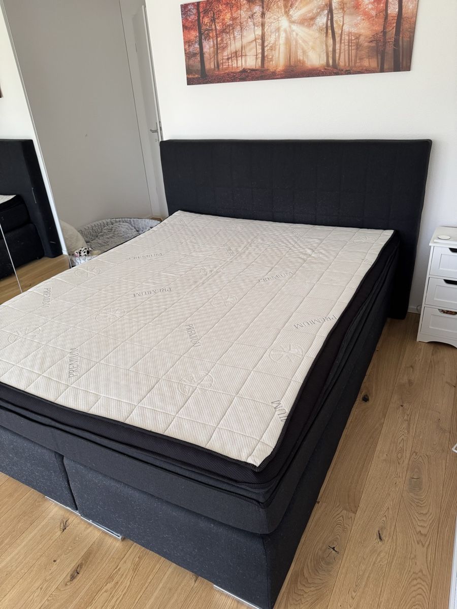 Letti: Boxspringbett 160 × 200 cm zu verkaufen – Usato da Aadorf venduto da kreyserkey 1