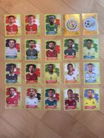 Panini 2026 - Auswahl